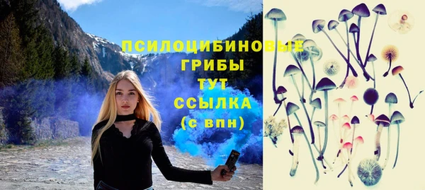 гидра Алексин
