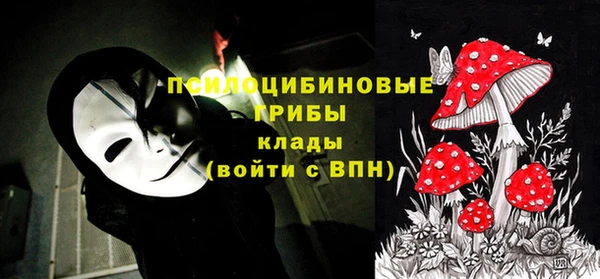 гидра Алексин